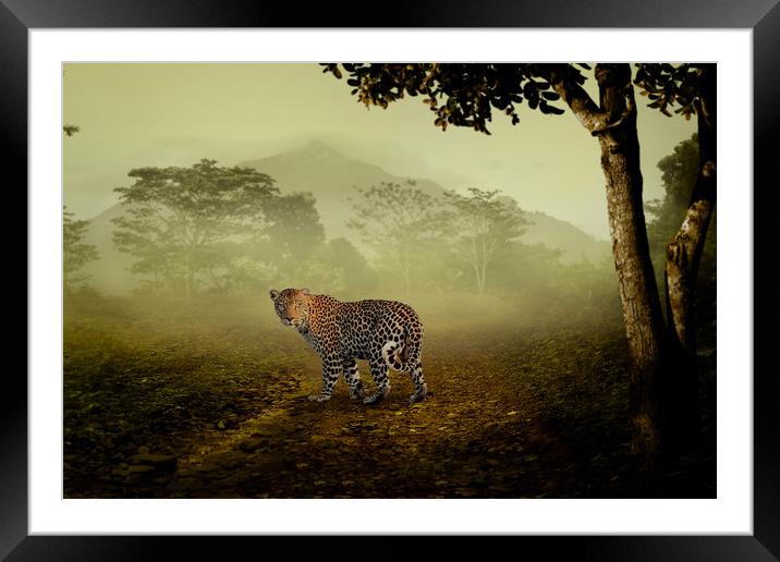 Leopard surprised in the forest Framed Mounted Print by Guido Parmiggiani