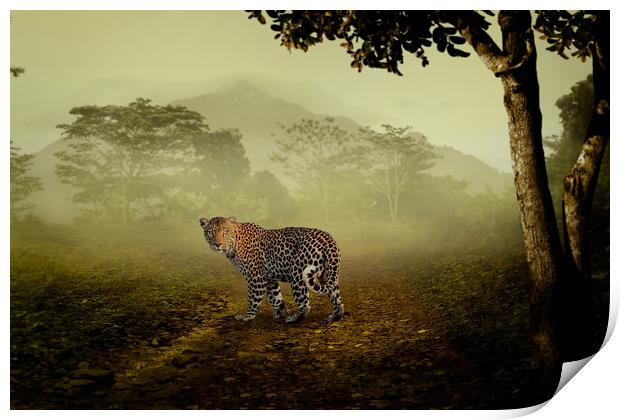 Leopard surprised in the forest Print by Guido Parmiggiani