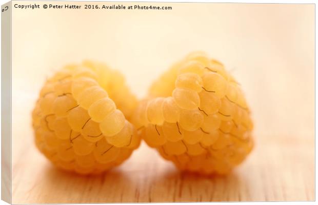 Two Yellow Raspberries Close up. Canvas Print by Peter Hatter