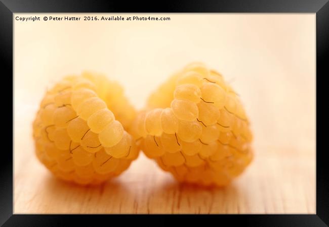 Two Yellow Raspberries Close up. Framed Print by Peter Hatter