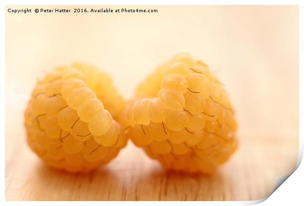 Two Yellow Raspberries Close up. Print by Peter Hatter