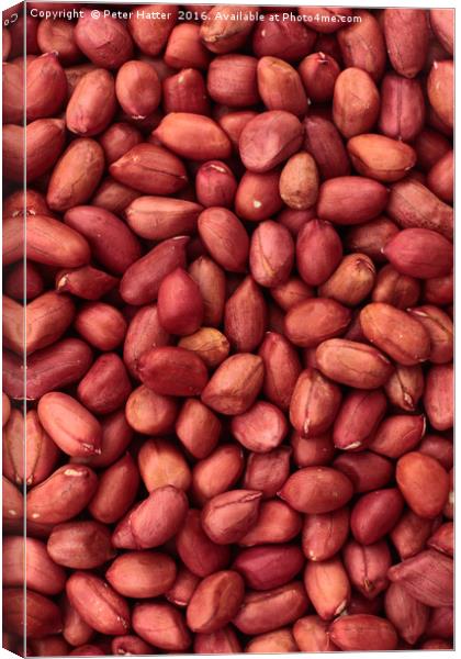 Red Skin Peanuts Canvas Print by Peter Hatter