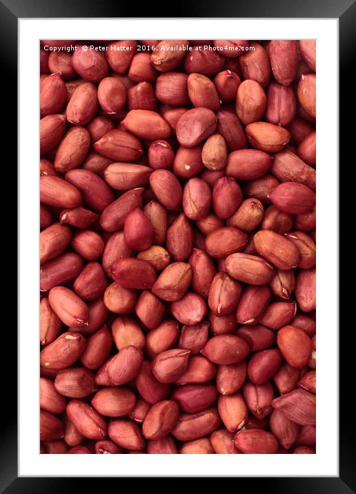 Red Skin Peanuts Framed Mounted Print by Peter Hatter