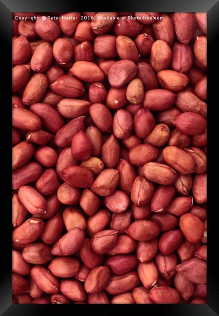 Red Skin Peanuts Framed Print by Peter Hatter