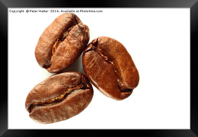 Three coffee beans close up Framed Print by Peter Hatter