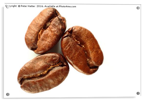 Three coffee beans close up Acrylic by Peter Hatter