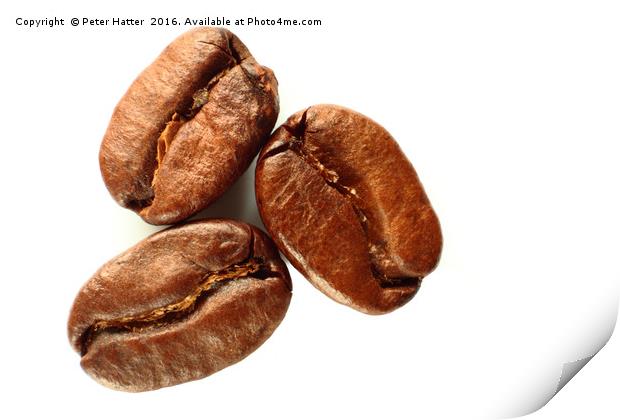Three coffee beans close up Print by Peter Hatter