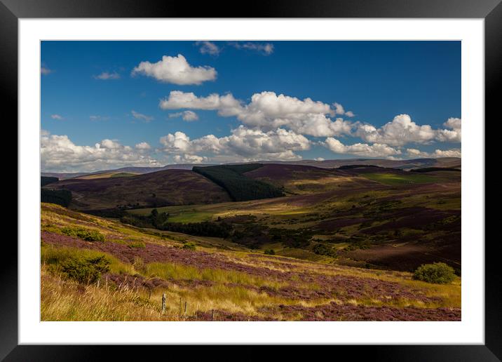 Cairngorms NP Framed Mounted Print by Thomas Schaeffer