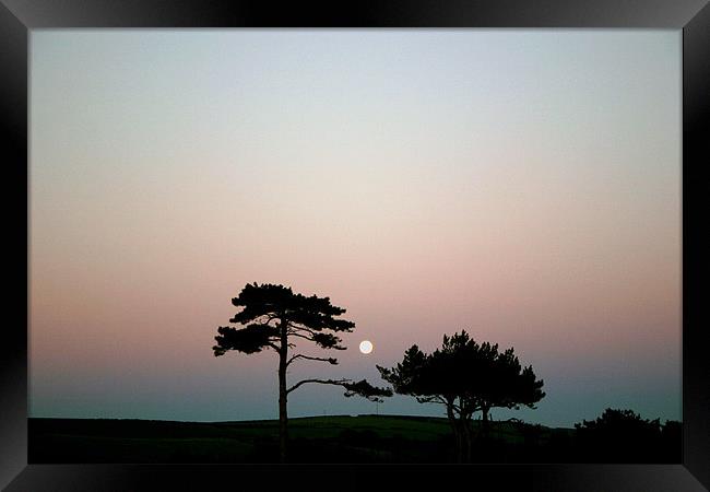 Moonrise over Dorset  Framed Print by Mike Crew