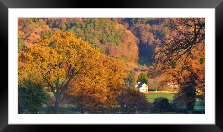 golden landscape Framed Mounted Print by sue davies