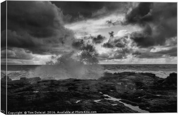 Lava field meets the sea - mono Canvas Print by Tom Dolezal