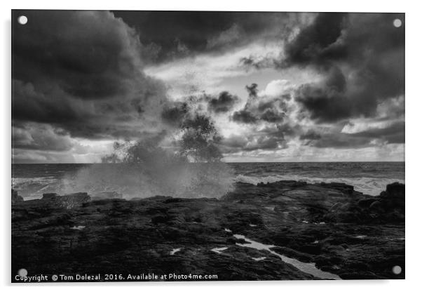 Lava field meets the sea - mono Acrylic by Tom Dolezal