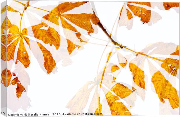 Autumn Leaves Abstract Canvas Print by Natalie Kinnear