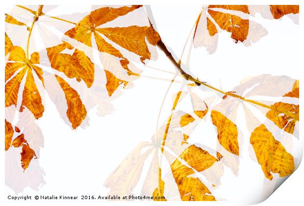 Autumn Leaves Abstract Print by Natalie Kinnear