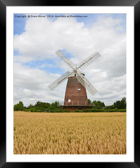 Thaxted Windmill Framed Mounted Print by Diana Mower