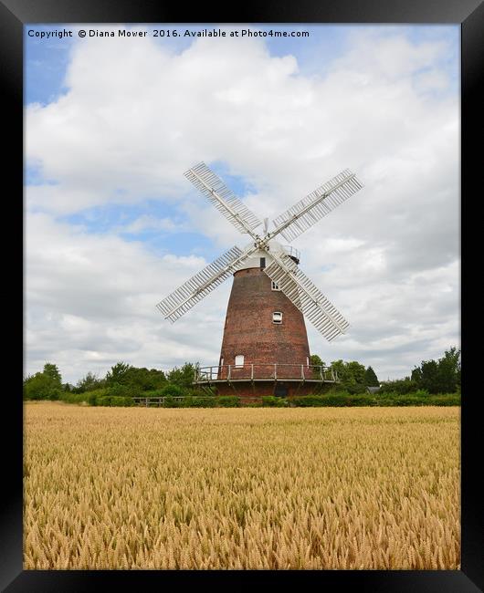 Thaxted Windmill Framed Print by Diana Mower