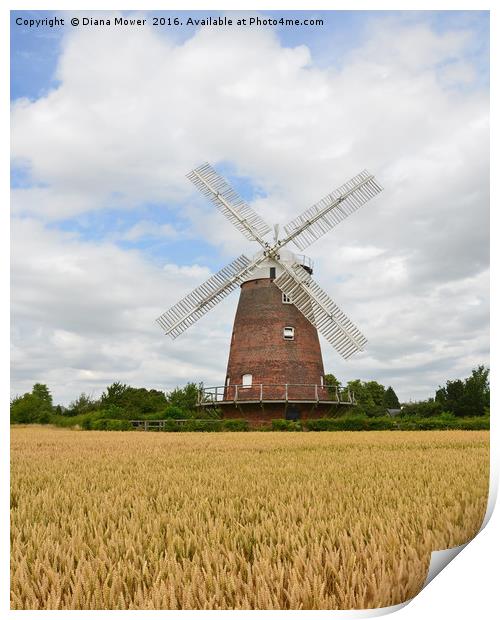 Thaxted Windmill Print by Diana Mower