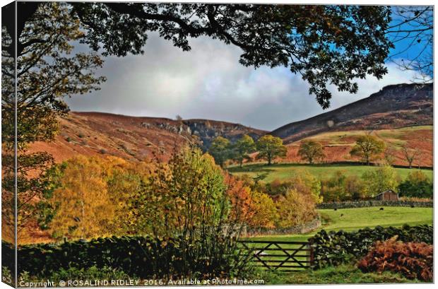 "VIEW FROM A FARM YARD Canvas Print by ROS RIDLEY