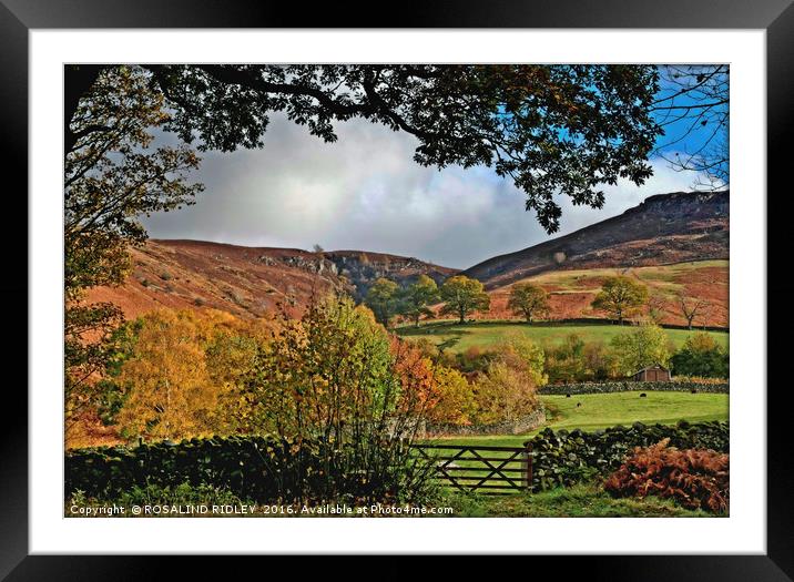 "VIEW FROM A FARM YARD Framed Mounted Print by ROS RIDLEY