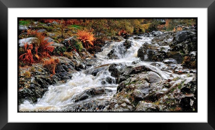 "WATERFALL AT ASHNESS BRIDGE 2 " Framed Mounted Print by ROS RIDLEY