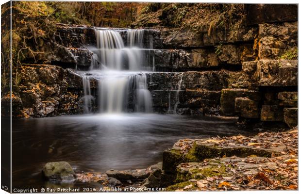 Bowlees Waterfall Canvas Print by Ray Pritchard