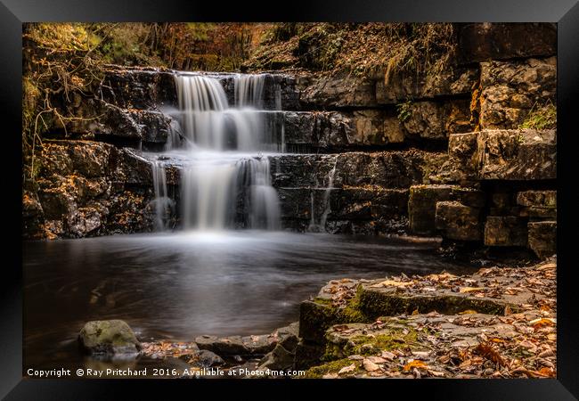 Bowlees Waterfall Framed Print by Ray Pritchard