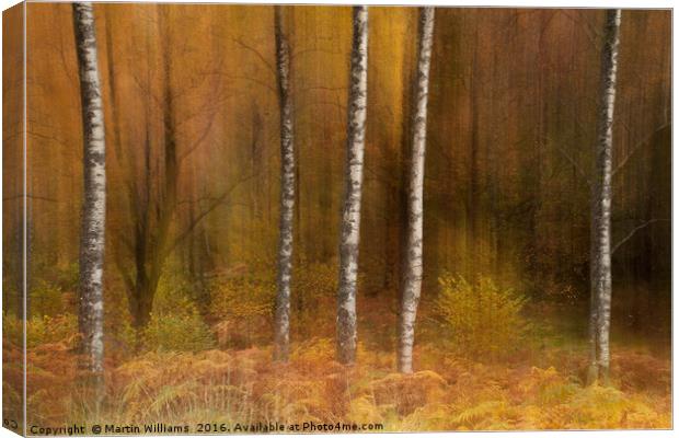 Impressions and Blurred Lines Canvas Print by Martin Williams
