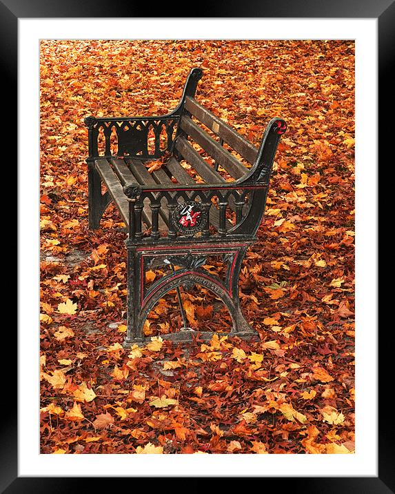 Park bench on a carpet of autumn leaves Framed Mounted Print by Charlie Gray LRPS