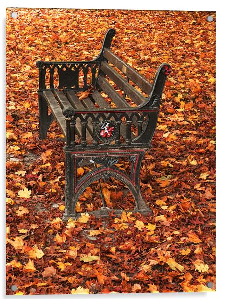 Park bench on a carpet of autumn leaves Acrylic by Charlie Gray LRPS