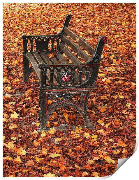 Park bench on a carpet of autumn leaves Print by Charlie Gray LRPS