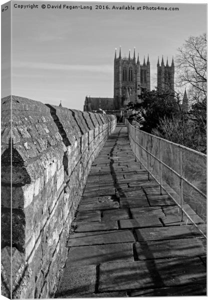 Lincoln Cathedral From The Castle Canvas Print by Dave Fegan-Long