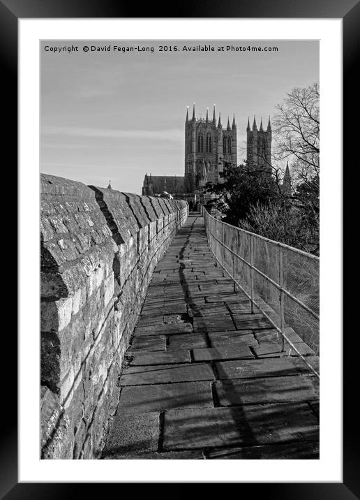Lincoln Cathedral From The Castle Framed Mounted Print by Dave Fegan-Long