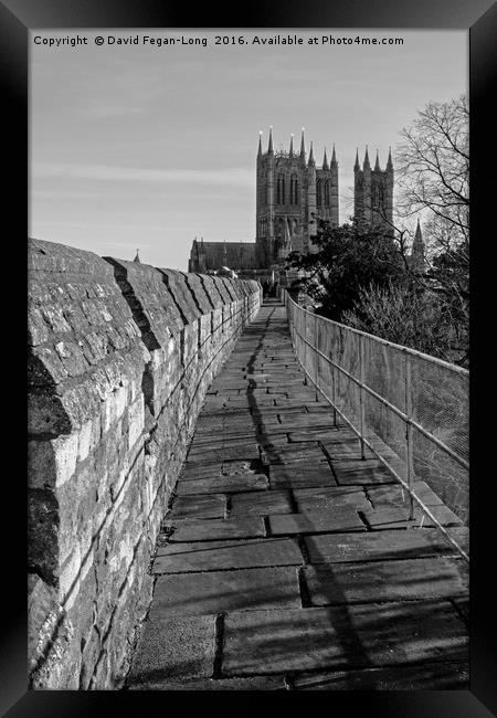 Lincoln Cathedral From The Castle Framed Print by Dave Fegan-Long