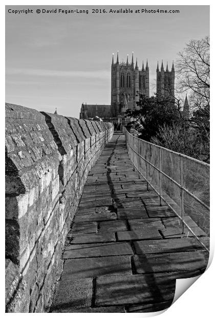 Lincoln Cathedral From The Castle Print by Dave Fegan-Long