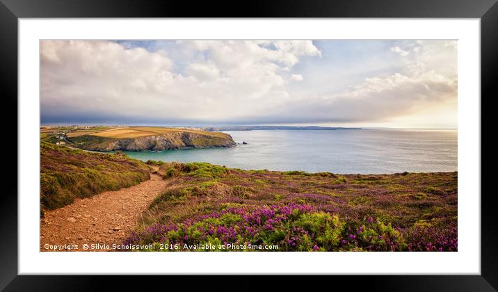 coast path Framed Mounted Print by Silvio Schoisswohl