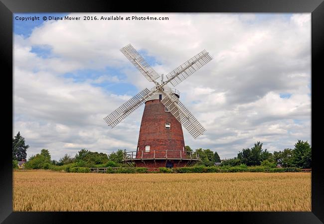 Thaxted windmill Framed Print by Diana Mower