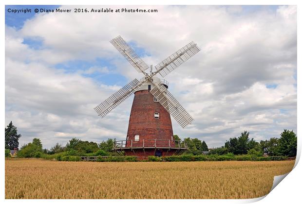 Thaxted windmill Print by Diana Mower