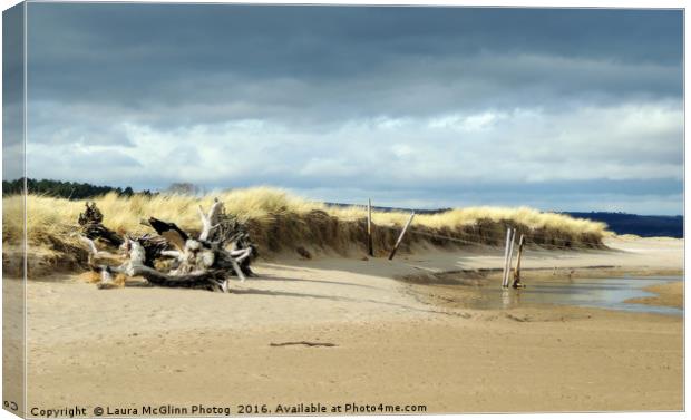 Distant Shoreline Canvas Print by Laura McGlinn Photog