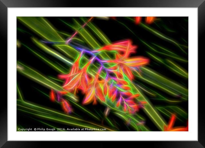 Electric Nature Framed Mounted Print by Philip Gough