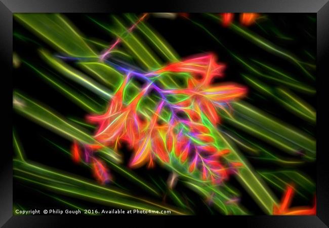Electric Nature Framed Print by Philip Gough