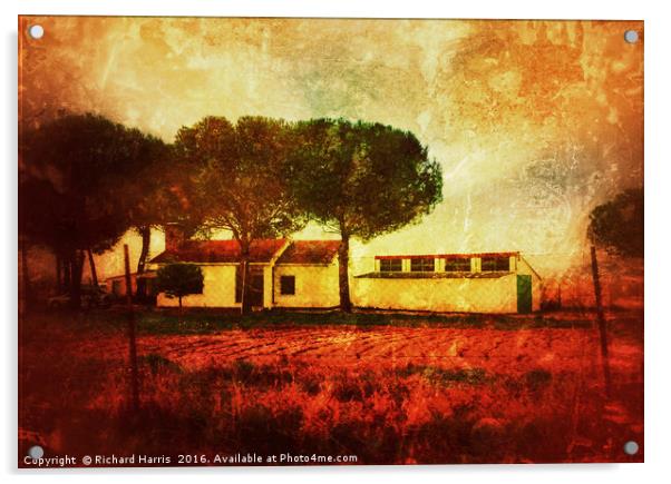 The Old Ranch House Acrylic by Richard Harris