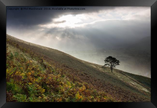 Keswick, Lone Tree Framed Print by Phil MacDonald