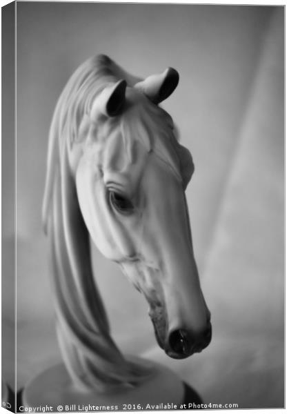 Equine Beauty Canvas Print by Bill Lighterness