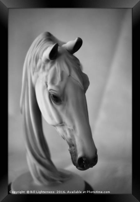 Equine Beauty Framed Print by Bill Lighterness
