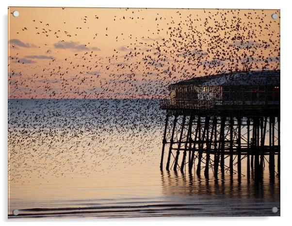 Starlings     Acrylic by Victor Burnside