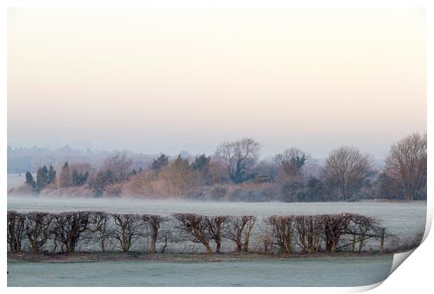 Cold and frosty morning  Print by chris smith