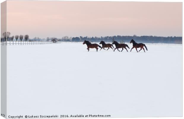 Four horses galloping on snowy paddock Canvas Print by Łukasz Szczepański