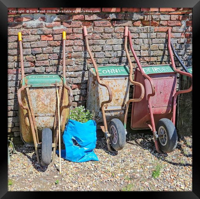WHEELBARROWS WITH NAMES Framed Print by Sue Wood