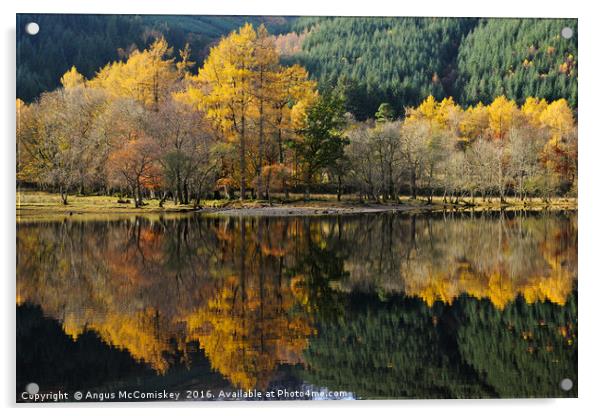 Loch Lubnaig autumn colours Acrylic by Angus McComiskey