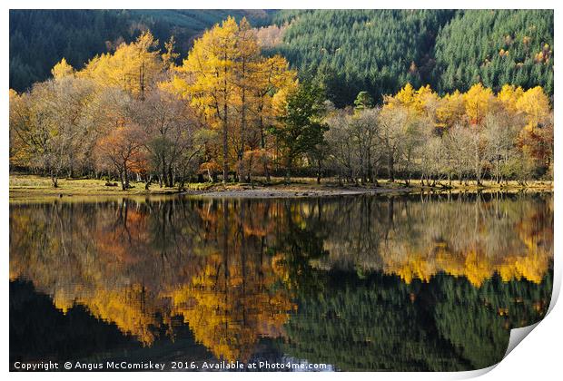 Loch Lubnaig autumn colours Print by Angus McComiskey